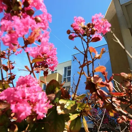 Lucky Complex Apartment Rawda